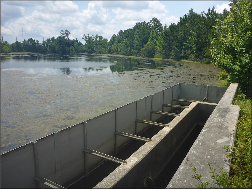 Lake Near The Intersection Of Philips Highway (US-1) And Greenland Road, Jacksonville, Duval County, Florida