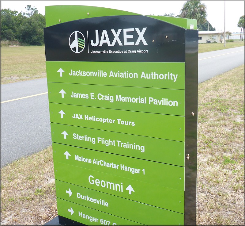 Bulimulus sporadicus At Jacksonville Aviation Authority Controlled Facility - Craig Airport (JAXEX)