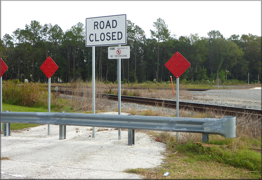 Bulimulus sporadicus At The Dead End Of West Oliver Street In Baldwin, Florida