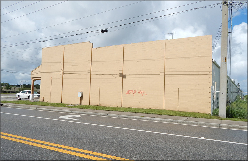 Bulimulus sporadicus On Building At The Intersection Of Cortez Road And Beach Boulevard