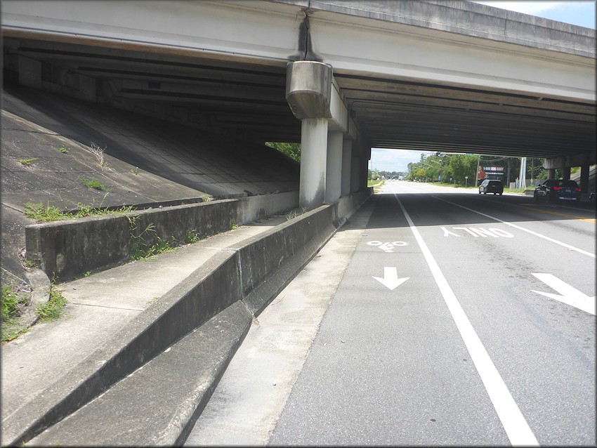 Bulimulus sporadicus On Bowden Road At The Interstate 95 Overpass