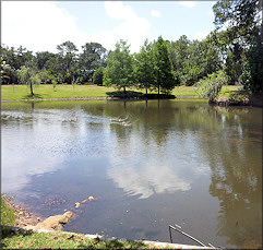 Florida State College Jacksonville Kent Campus "Duck Pond"