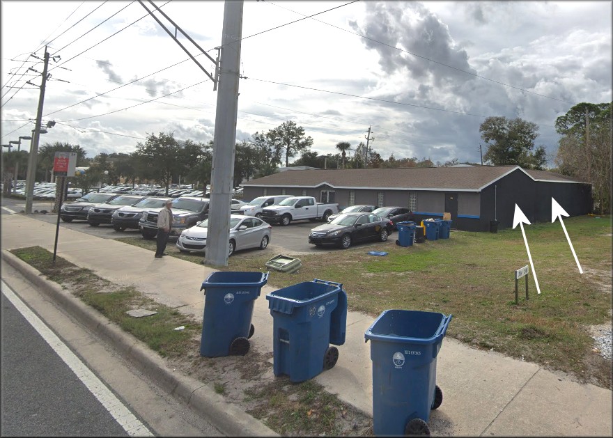 Bulimulus sporadicus Along Mayport Road In Atlantic Beach (2100 Block) At Car Dealership