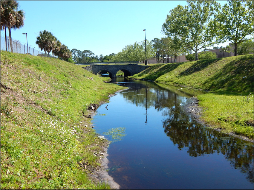 Pomacea diffusa habitat near U. S. post office and SAMs Club April, 2016 (looking south) 