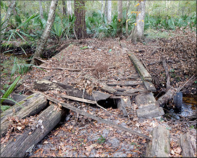 Old Wooden Bridge Over The Creek Upstream (11/26/2016)