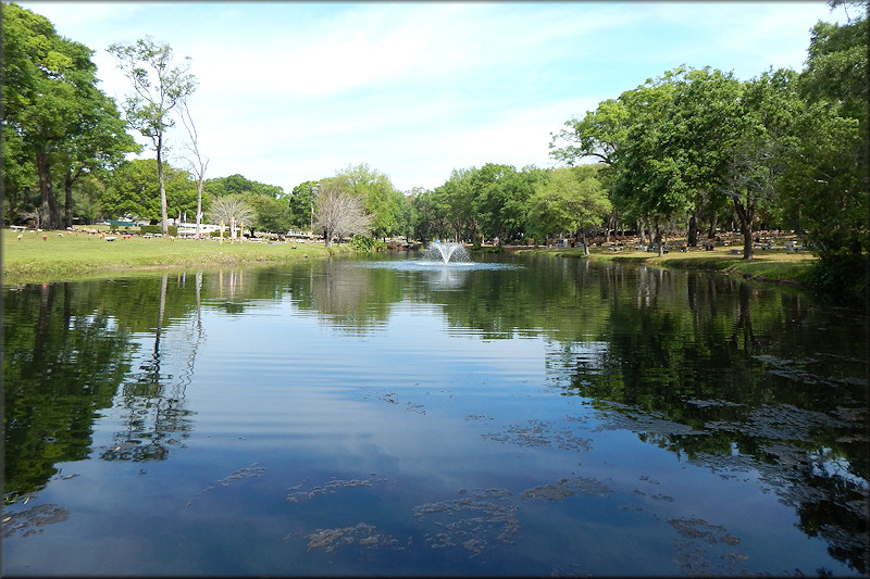 Cemetery Lake Looking North To Where The Egg Clutches Were Found