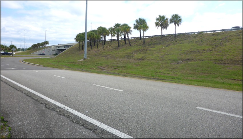 Bulimulus sporadicus On Entrance Ramp To Interstate 295 South From Town Center Parkway