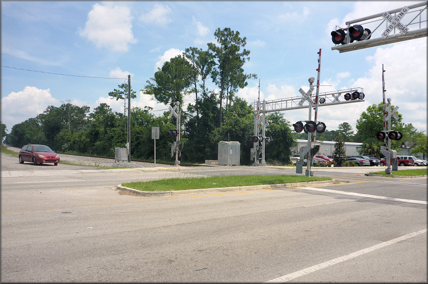 Bulimulus sporadicus On Shad Road At the Florida East Coast Railroad Crossing