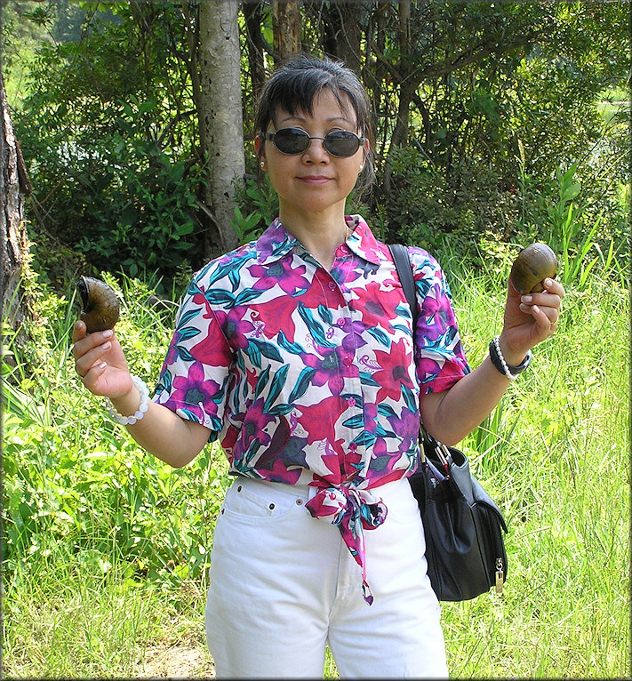 Freshly collected specimens from the aquatic center lake (7/28/2006)