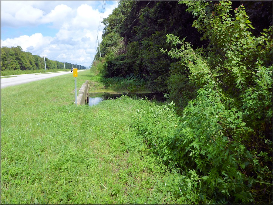 Daedalochila site 3.1 miles northwest of International Golf Parkway looking northwest along US-1 towards Jacksonville