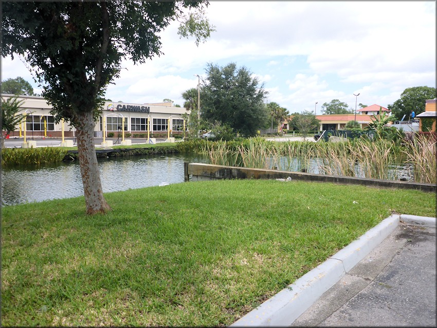 View of the retention pond from the BP gas station parking lot flanked by a car wash and indian restaurant