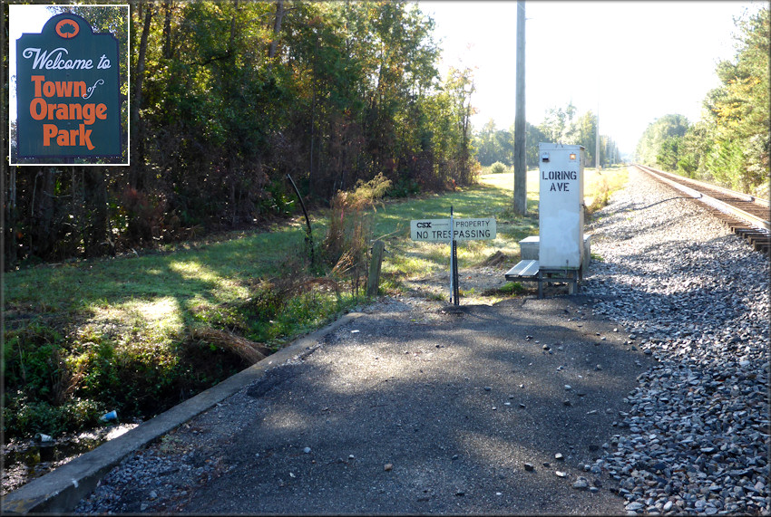 Bulimulus sporadicus Habitat At The Loring Avenue Railroad Crossing In Orange Park