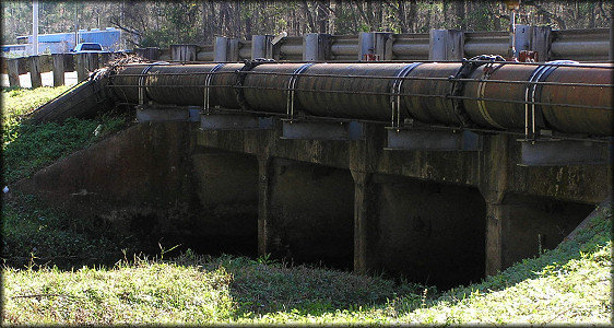 Concrete box culvert underneath Phillips Highway where the Pomacea egg clutches were found