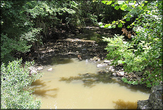 Looking East (downstream) From Parental Home Rd.