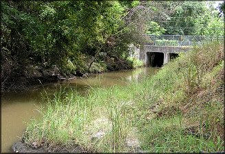 Looking East (downstream) Toward Parental Home Rd.