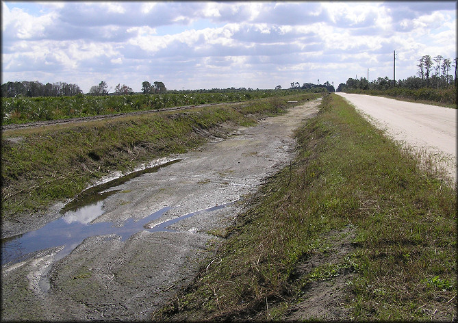 Drainage ditch during dry weather | Photographed by Joel Wooster on 1/27/2006