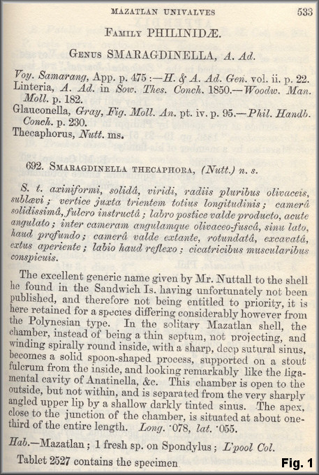 Julia thecaphora (Carpenter, 1857) original description