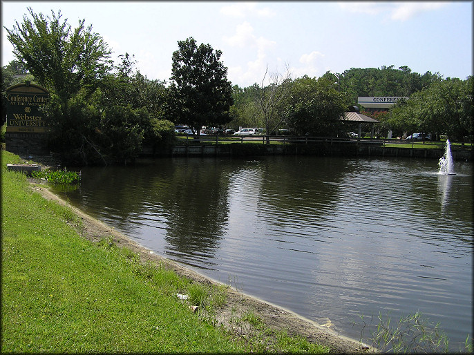 Commercial Plaza Lake/Retention Pond