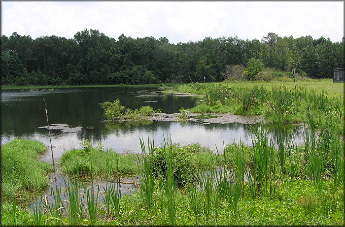 Aquatic center lake looking southeast