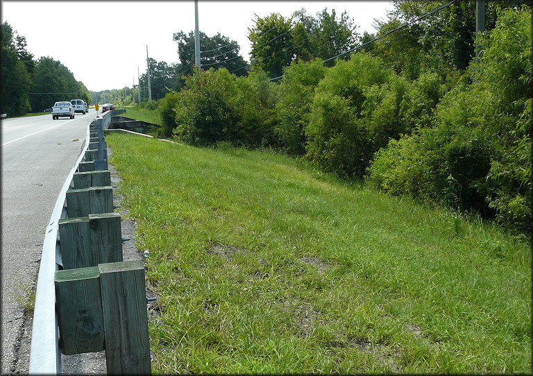 Southwestern Bridge Approach To Turnbull Creek Bridge 8/4/2009