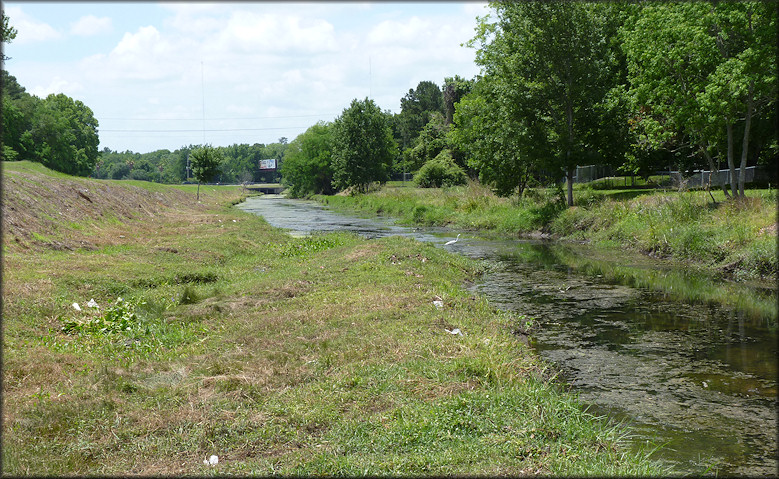 Drainage ditch looking south from Grace Lane towards Normandy Boulevard
