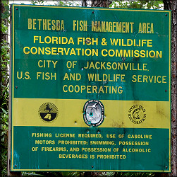 Bethesda Fish Management Area