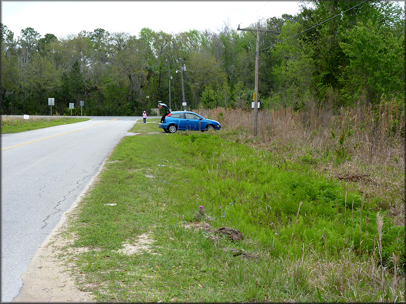 Site on Hoot Owl Road where the empty Daedalochila auriculata shells were found on 3/8/2012