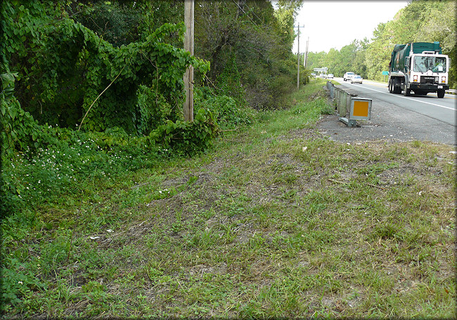 Southwest bridge approach (image, left) where the Daedalochila were found (10/10/2008)