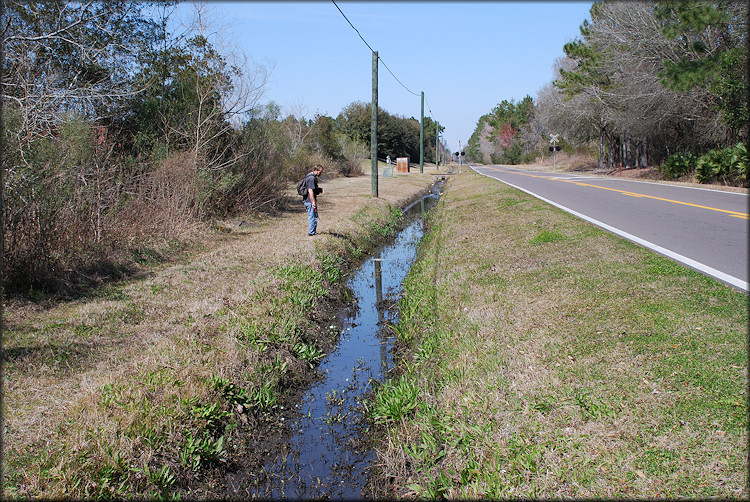 Drainage ditch looking north along Imeson Road