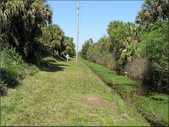 South end of the spoil piles and adjacent drainage system