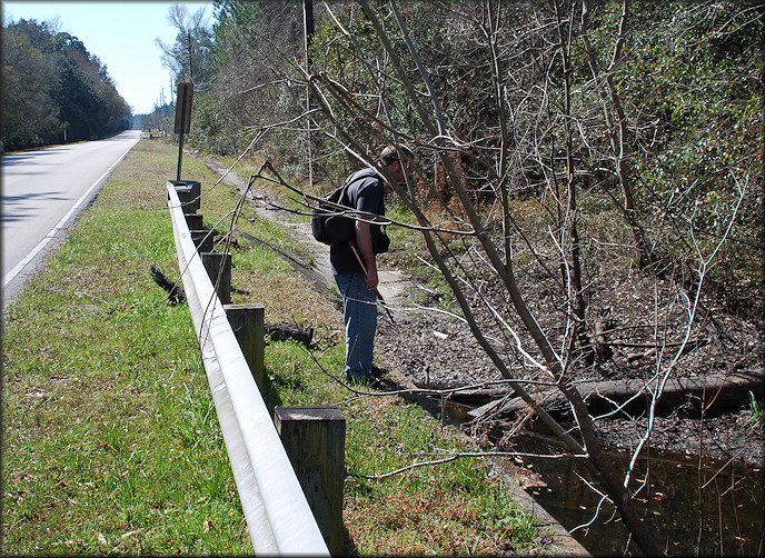  North fork of Six Mile Creek looking south along Imeson Road