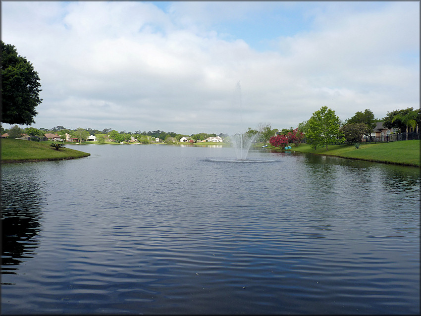 East end of the lake looking west