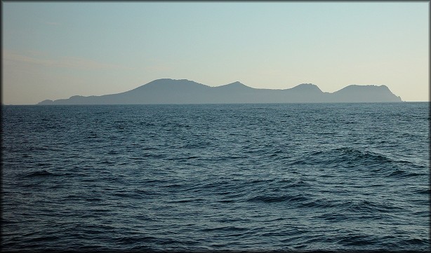 Forrester Island, SE Alaska (east side). Many species were described from here by Dall, Berry, Willett and others.