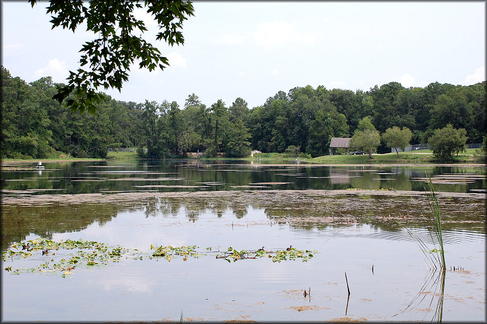 South end of the lake looking north (7/1/2007)