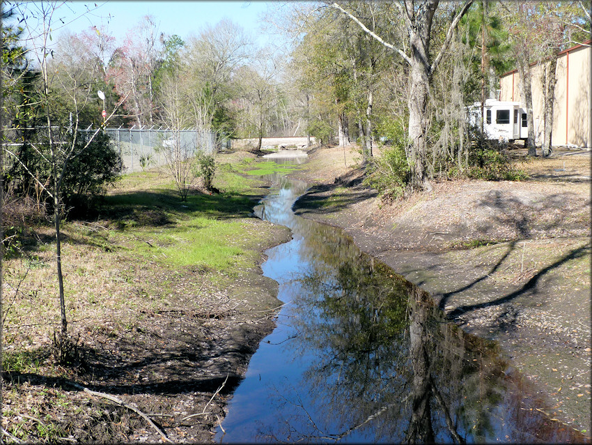 One of the drainage ditches where the Pomacea canaliculata were found