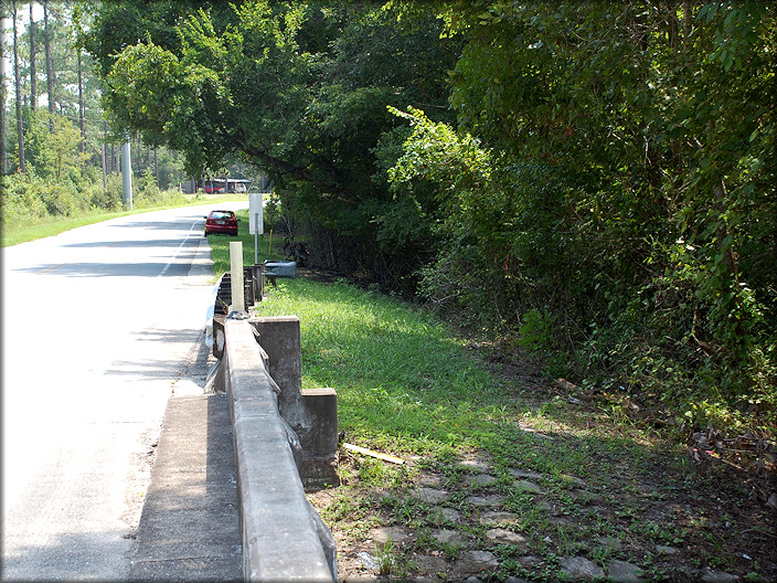 Daedalochila habitat on the southeast end of the CR-16A bridge (8/11/2008)