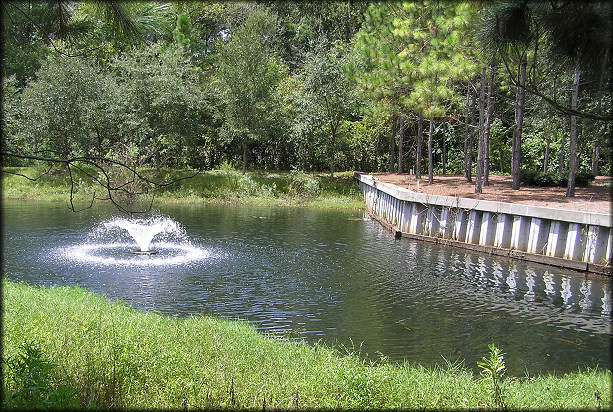 Small Retention Pond