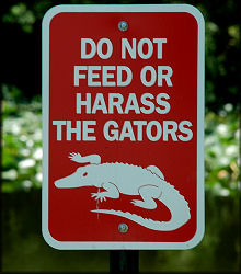 Gator sign