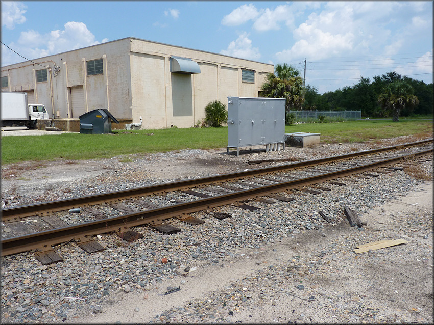 Bulimulus sporadicus (d’Orbigny, 1835) Habitat At The Evergreen Avenue Railroad Crossing (8/17/2014)