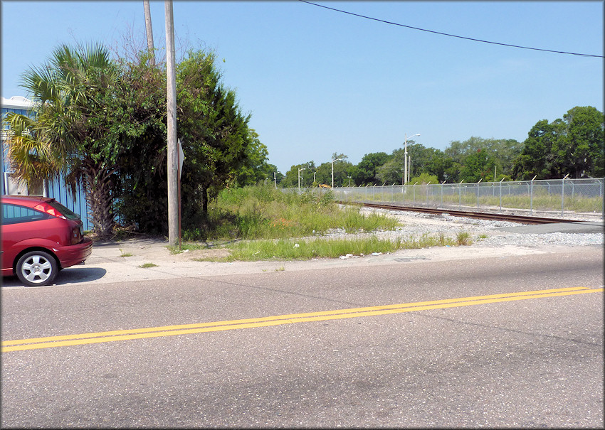 Bulimulus sporadicus (d’Orbigny, 1835) Habitat At The North Pearl Street Railroad Crossing (8/23/2014)