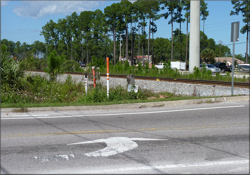 Looking north northeast to where the empty Daedalochila shells were found (10/11/2014)