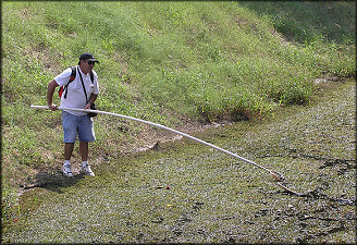 Collecting In The "Ditch"