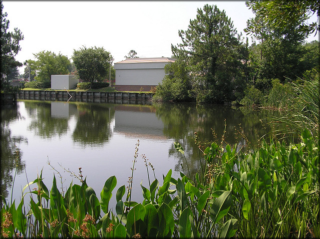 Retention Pond Adjacent To BP Gasoline Station