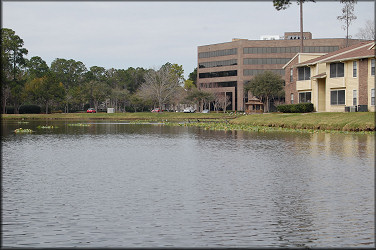 Looking north from the southern end of the lake