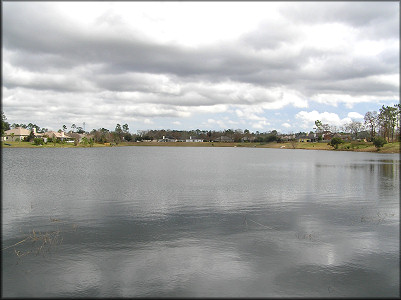 Lake west bank looking to the east