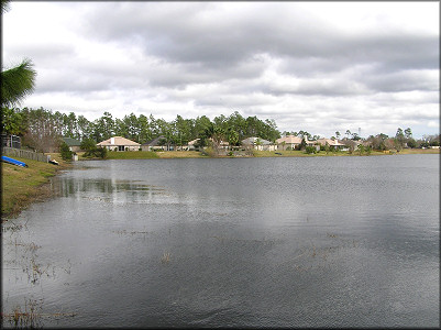 Lake west bank looking to the northeast