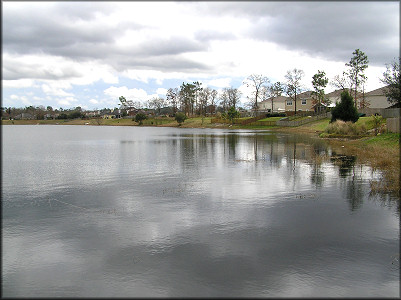 Lake west bank looking to the southeast