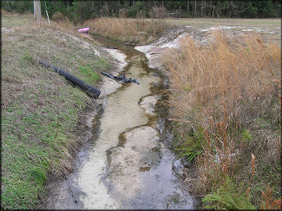 Creek looking northeast towards lake outflow