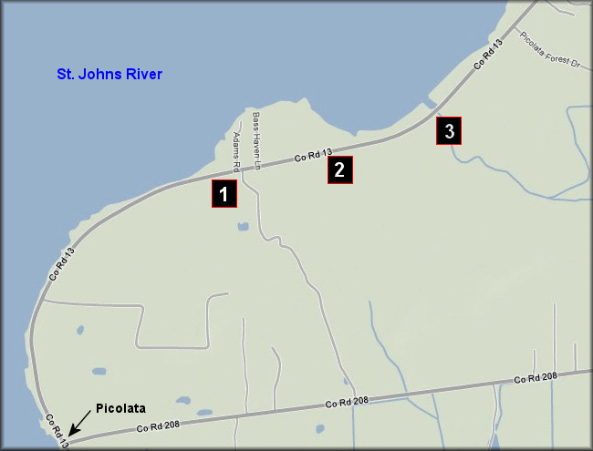 Map of area northeast of Picolata where the Daedalochila were found