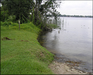 Northern end of the lake looking west